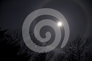 Lunar Halo in North American Winter Sky