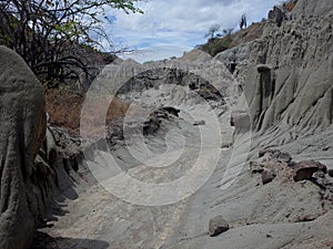 The Lunar landscape of Los Hoyos, the Grey Desert, part of Colombia`s Tatacoa Desert. The area is an ancient dried forest and pop photo