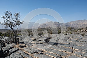 Lunar landscape in the Mountains of Jebel Shams in Oman