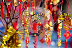 Lunar new year decorations