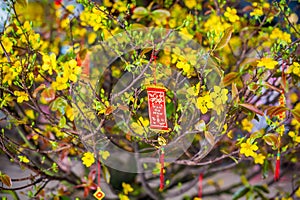 Lunar new year lucky decoration objects. words mean best wishes and good luck for the coming vietnamese new year