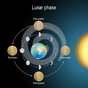 Lunar phase. phase of the Moon