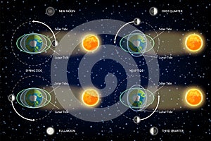 Lunar and Solar tides diagram vector illustration