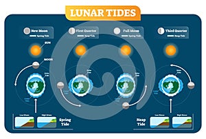 Lunar and Solar tides vector illustration diagram poster. Spring and Neap tide.