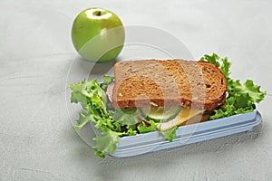 Lunch box with tasty sandwich