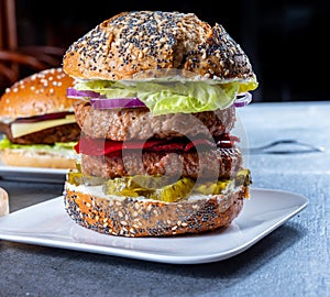 Lunch or dinner with tasty vegetarian hamburgers made from plant based grilled burgers, fresh bakes buns and organic vegetables