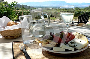 Lunch outside in a vineyard