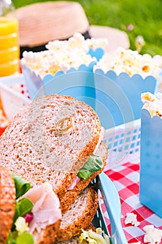 Lunch in the park on the green grass. Summer sunny day and picnic basket