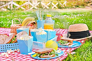 Lunch in the park on the green grass. Summer sunny day and picnic basket