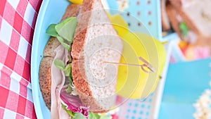 Lunch in the park on the green grass. Summer sunny day and picnic basket