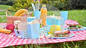 Lunch in the park on the green grass. Summer sunny day and picnic basket