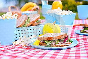 Lunch in the park on the green grass. Summer sunny day and picnic basket