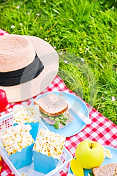 Lunch in the park on the green grass. Summer sunny day and picnic basket