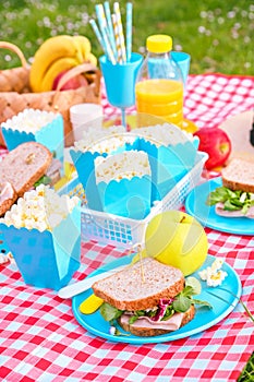 Lunch in the park on the green grass. Summer sunny day and picnic basket