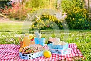 Lunch in the park on the green grass. Summer sunny day and picnic basket