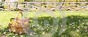 Lunch in the park on the green grass. Summer sunny day and picnic basket.