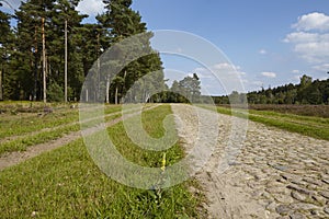 Luneburg Heath - Track through the heathland near Egestorf