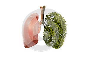 Lung green tree-shaped images, medical concepts, autopsy, 3D display and animals as an element