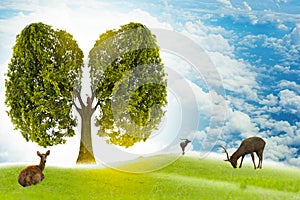 Lung green tree-shaped images, medical concepts, autopsy, 3D display and animals as an element