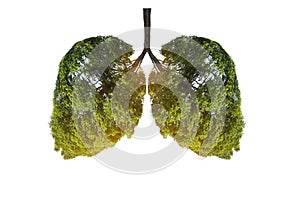 Lung green tree-shaped images, medical concepts, autopsy, 3D display and animals as an element