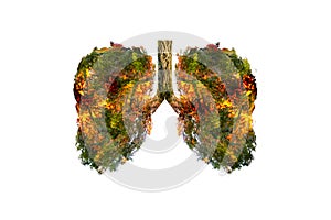 Lung green tree-shaped images,  medical concepts, autopsy, 3D display and animals as an element