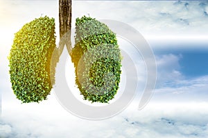 Lung green tree-shaped  images, medical concepts, autopsy, 3D display and animals as an element