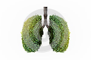 Lung green tree-shaped  images, medical concepts, autopsy, 3D display and animals as an element