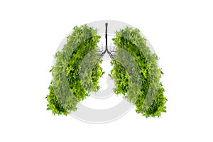 Lung green tree-shaped images, medical concepts, autopsy, 3D display and animals as an element