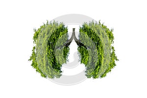 Lung green tree-shaped images, medical concepts, autopsy, 3D display and animals as an element