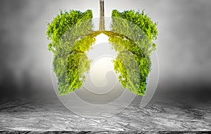 Lung green tree-shaped images, medical concepts, autopsy, 3D display and animals as an element