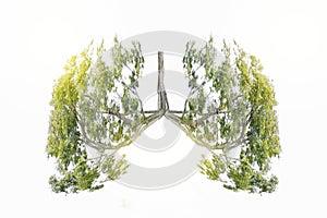 Lung green tree-shaped  images, medical concepts, autopsy, 3D display and animals as an element