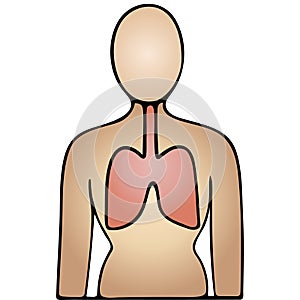 The lung of the patient. The respiratory organ is more prone to complications from COVID19 infection. Vector icon on isolated.