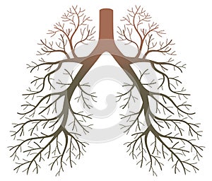 Lung patients