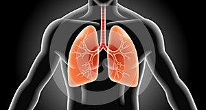 Lung x-ray black background vector illustrations