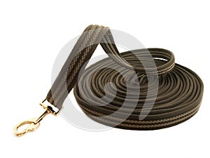 Lungeing rein for working horse on white