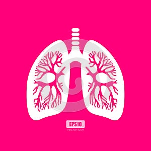 Lungs anatomy vector poster