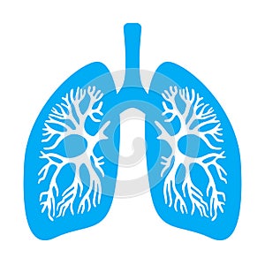 Lungs diaphragm vector icon