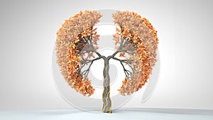 Lungs of the Earth. Tree in the shape of Lungs. Eco Concept