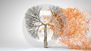 Lungs of the Earth. Tree in the shape of Lungs. Eco Concept