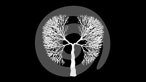Lungs of the Earth. Tree in the shape of Lungs. Eco Concept