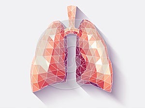 Lungs faceted