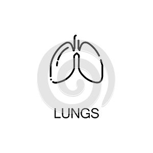Lungs flat icon or logo for web design. photo