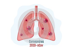 Lungs Human Internal Organ With Coronavirus Isolated White Background photo