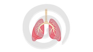 Lungs icon animation for medical motion graphics