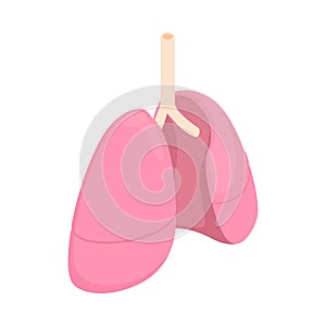 Lungs Isometric Illustration