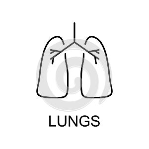 lungs line icon. Element of medicine icon with name for mobile concept and web apps. Thin line lungs icon can be used for web and