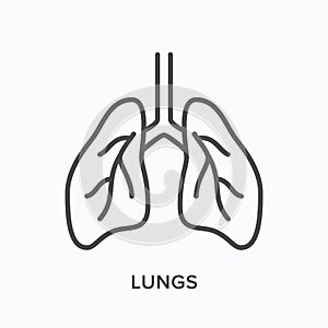 Lungs line icon. Vector outline illustration of man respiratory system. Human bronchus pictorgam photo