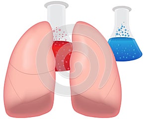 Lungs Research Respiratory