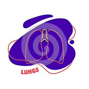 Lungs respiratory system body organ outline icon