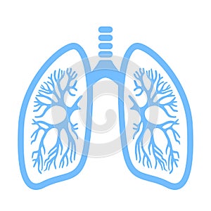 Lungs vector icon photo